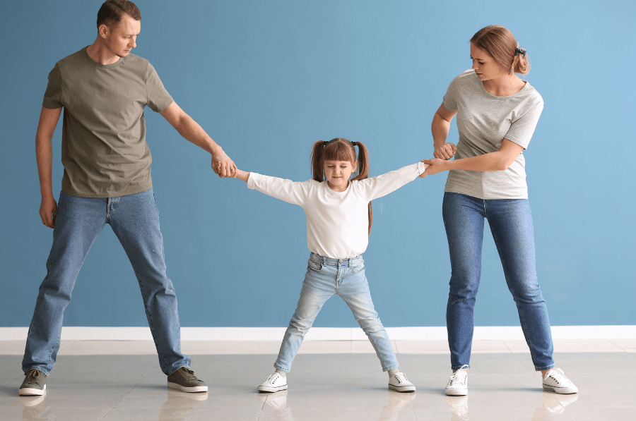 custody attorney vince caputo