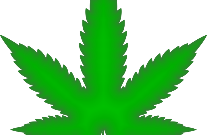 Marijuana Laws Soften, DUI Laws Do Not